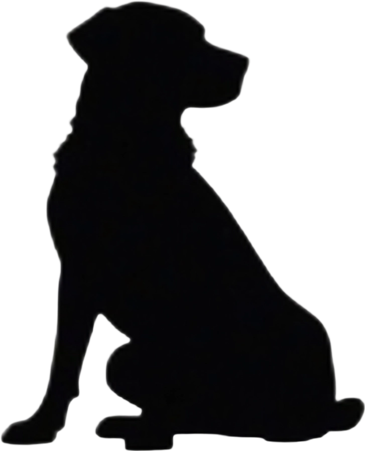 Silhouette of a Sitting Dog